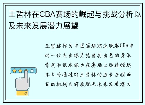 王哲林在CBA赛场的崛起与挑战分析以及未来发展潜力展望