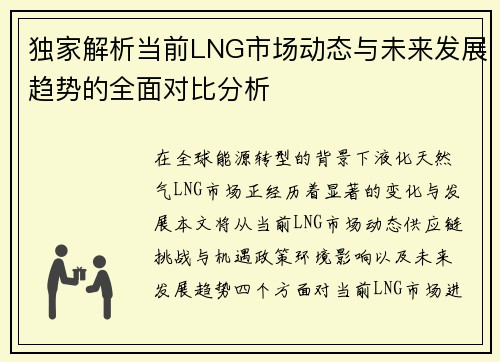 独家解析当前LNG市场动态与未来发展趋势的全面对比分析