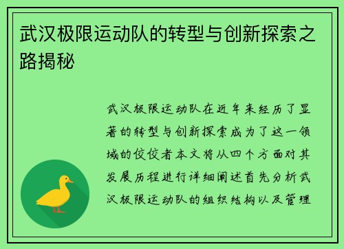 武汉极限运动队的转型与创新探索之路揭秘