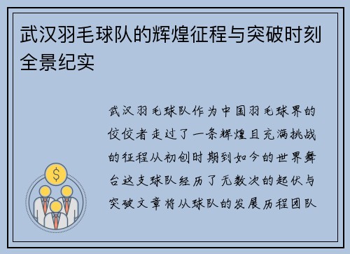 武汉羽毛球队的辉煌征程与突破时刻全景纪实